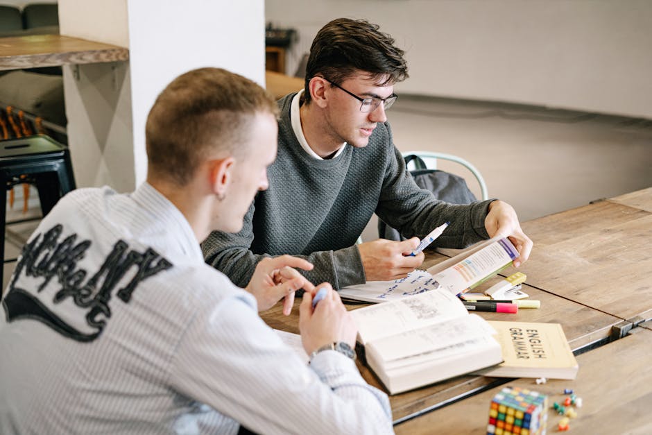馬來西亞 國際學校 入學年齡 — Two young men studying together, focusing on English grammar
